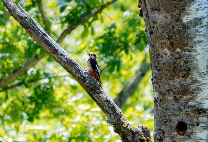 فندق Yamano Hidaya