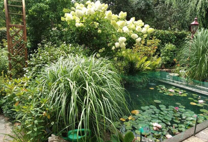 펜션 Kop Vd Hondsrug1