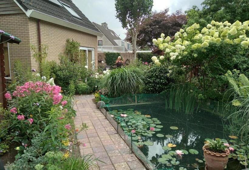 펜션 Kop Vd Hondsrug1