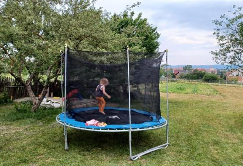 膳宿费 Lipovan Kulcsosház