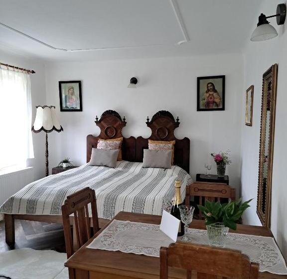 پانسیون Statek 100dola