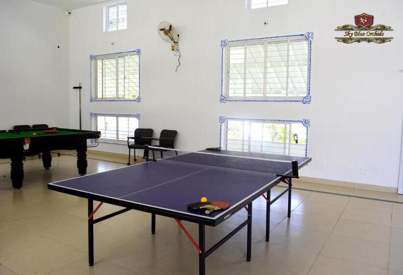 منتجع Sv Sky Blue Orchids