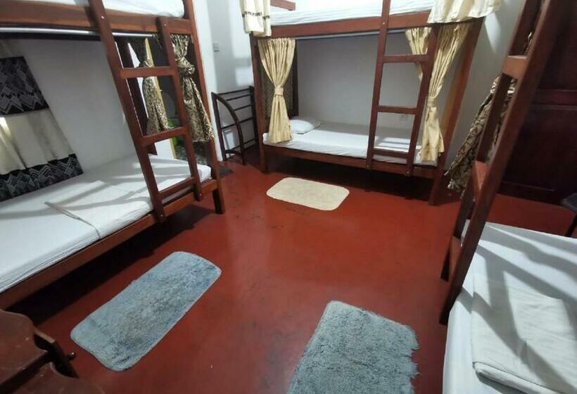 One More Night Hostel