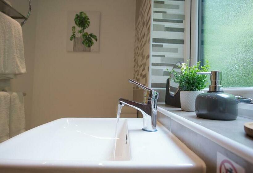 旅馆 Shenstone Lodge