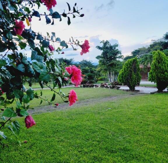 Dexamano Hotel & Resort