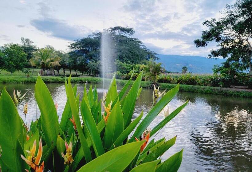 Dexamano Hotel & Resort