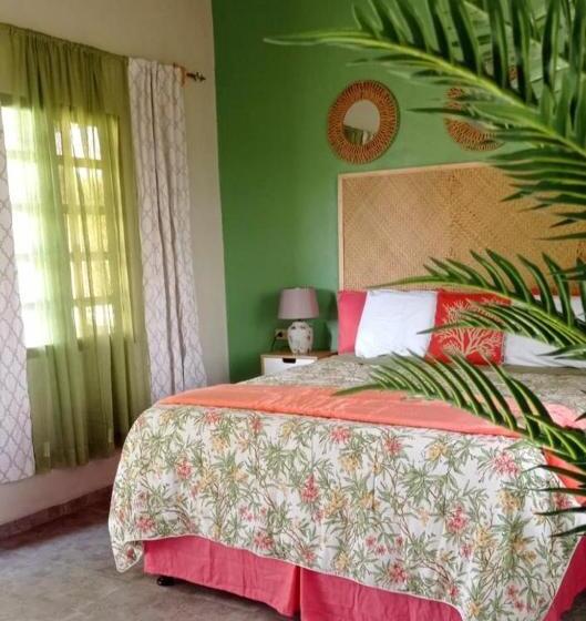 Dexamano Hotel & Resort