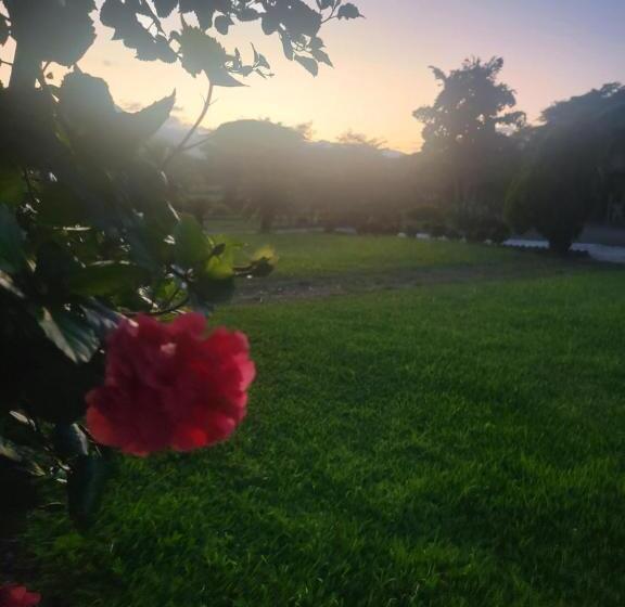 Dexamano Hotel & Resort