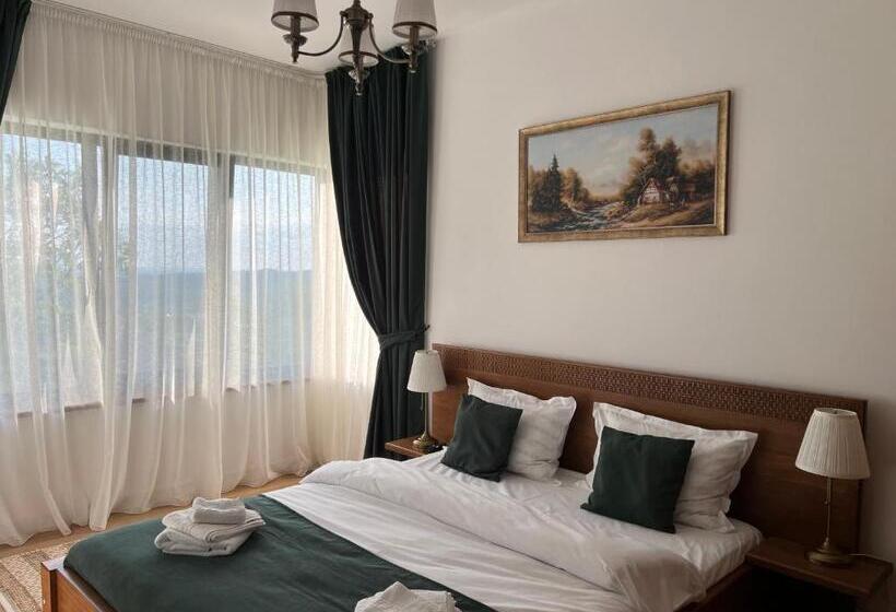 Отель Agropensiunea La Gradina