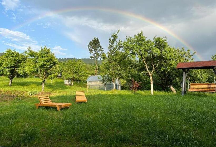 Отель Agropensiunea La Gradina