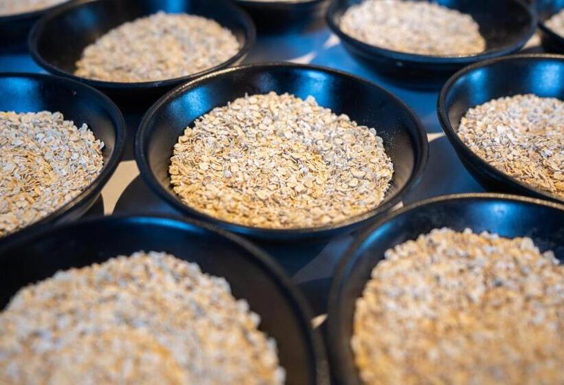 酒店 Himalayan Yoga Association