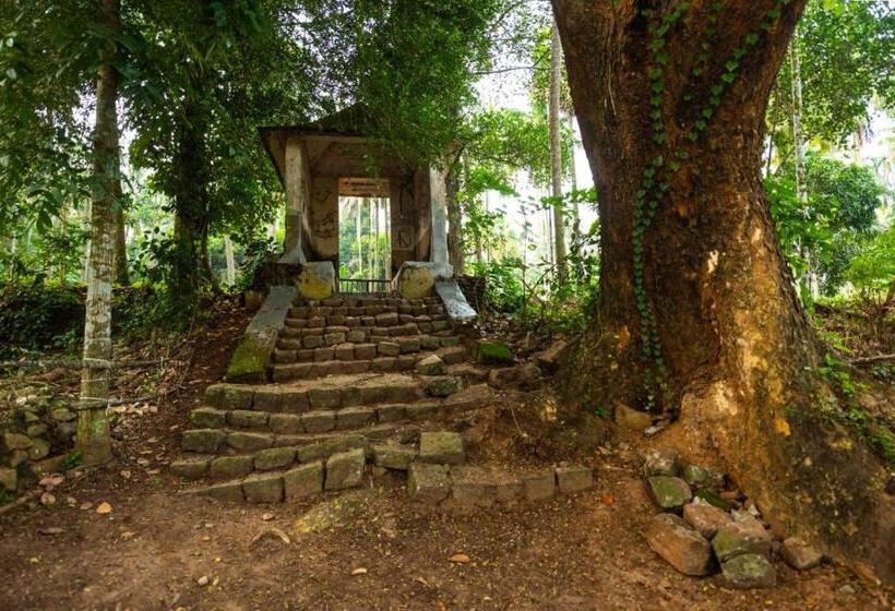 فندق Vintage Vista