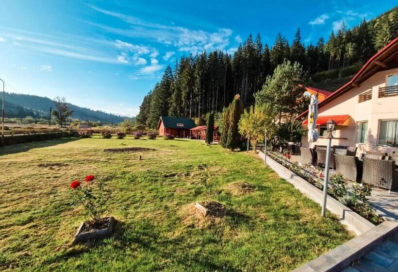 פנסיון Complex Caprioara Toplita