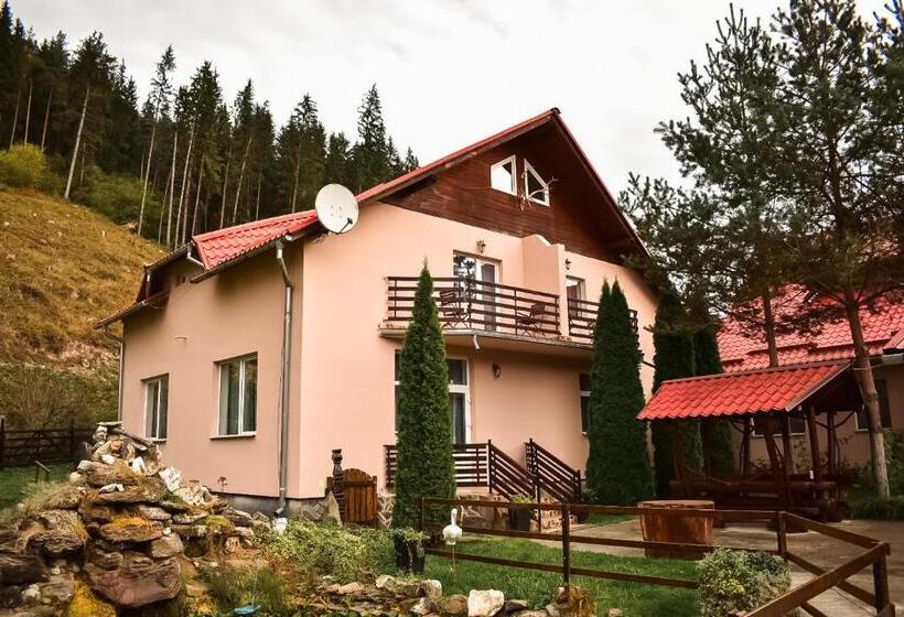 פנסיון Complex Caprioara Toplita