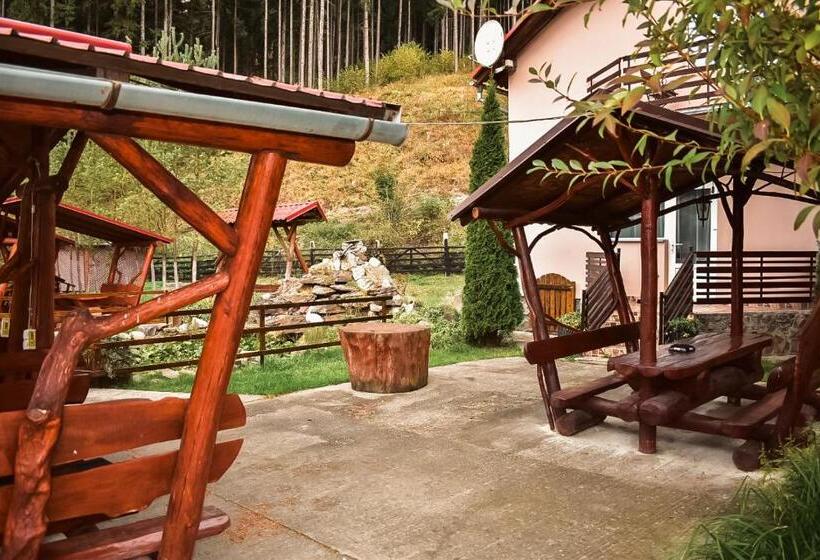 פנסיון Complex Caprioara Toplita