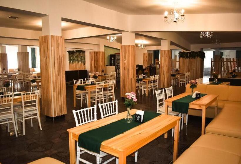 פנסיון Complex Caprioara Toplita