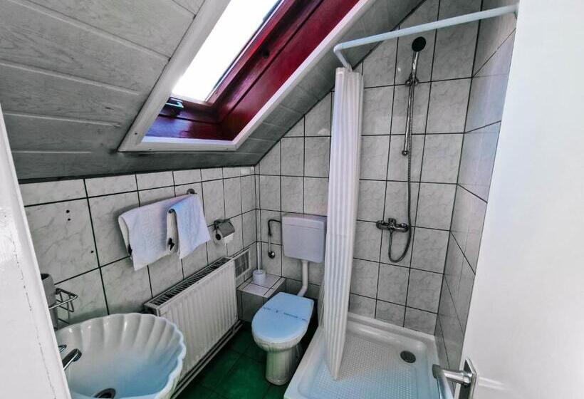 פנסיון Complex Caprioara Toplita