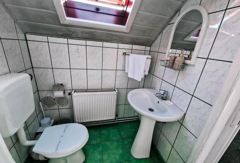 פנסיון Complex Caprioara Toplita