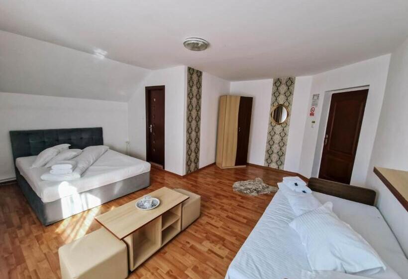 פנסיון Complex Caprioara Toplita