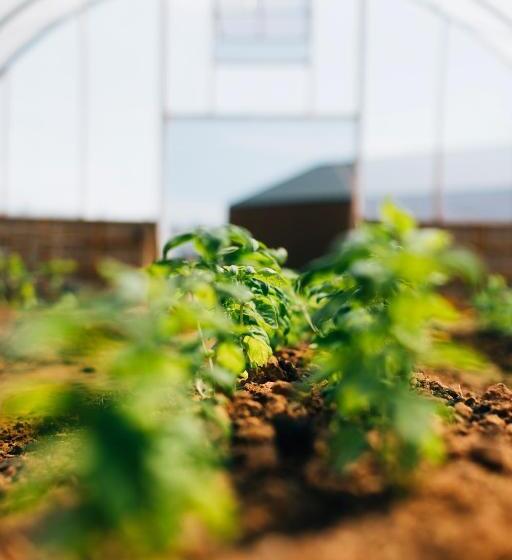 فندق Mysa Nordic Spa & Resort