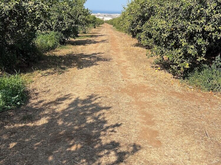 호텔 Tenuta Macconi Country Rooms