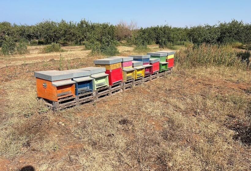 호텔 Tenuta Macconi Country Rooms