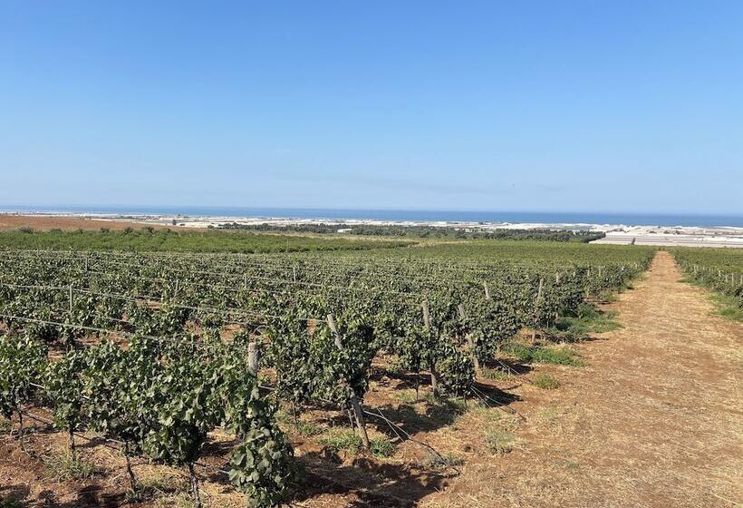 호텔 Tenuta Macconi Country Rooms