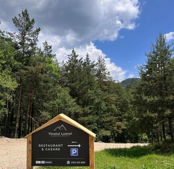 Отель Tinutul Luanei Village