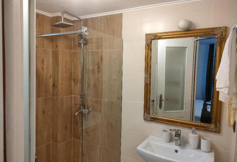 بنسيون Casa Baronului