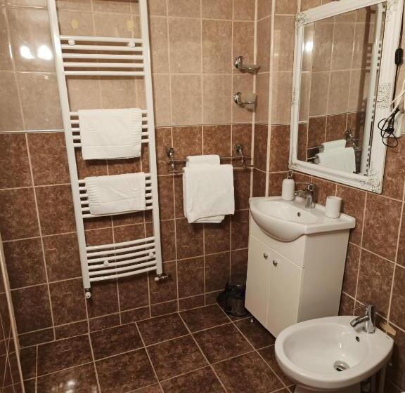 بنسيون Casa Baronului