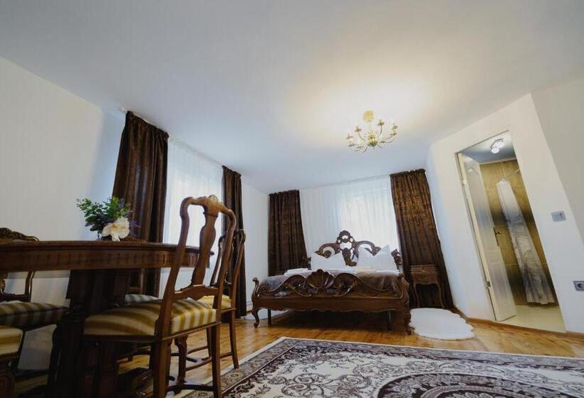 بنسيون Casa Baronului