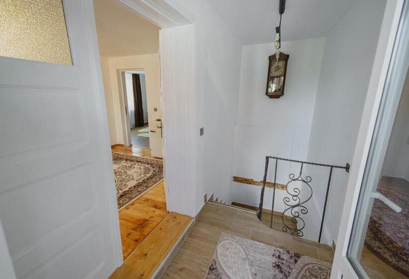 بنسيون Casa Baronului