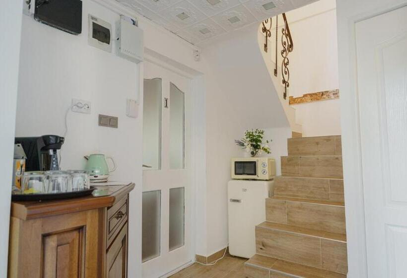 بنسيون Casa Baronului