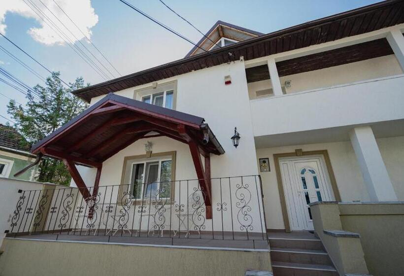 بنسيون Casa Baronului