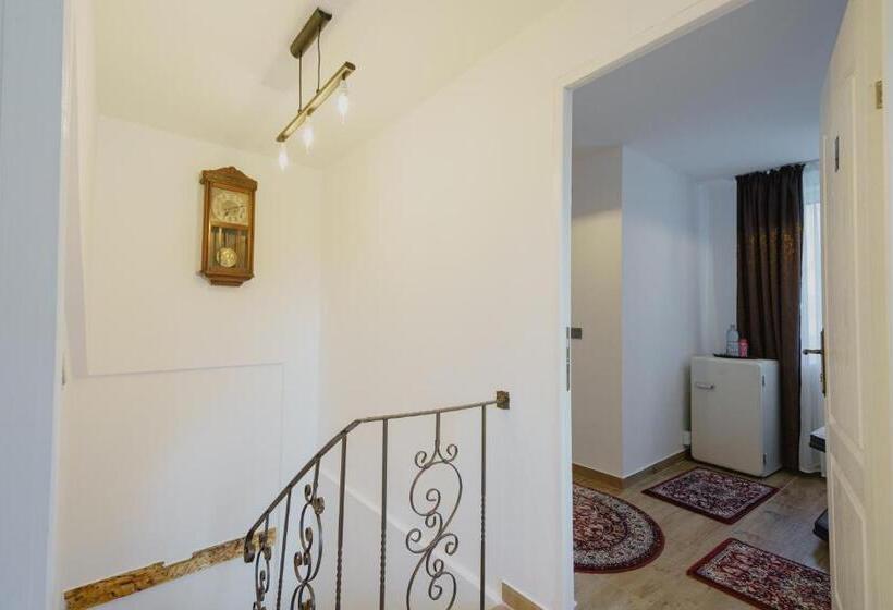 بنسيون Casa Baronului