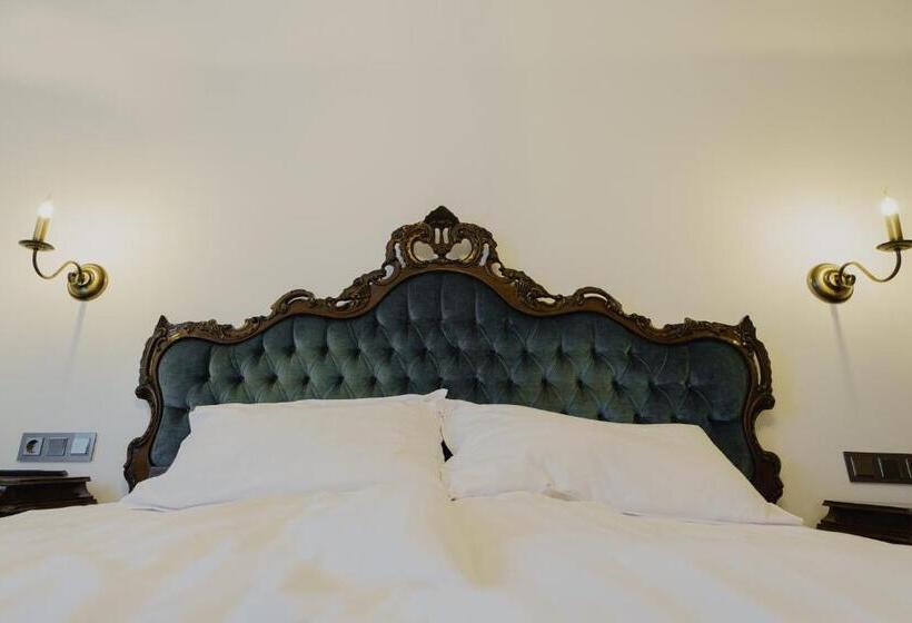 بنسيون Casa Baronului