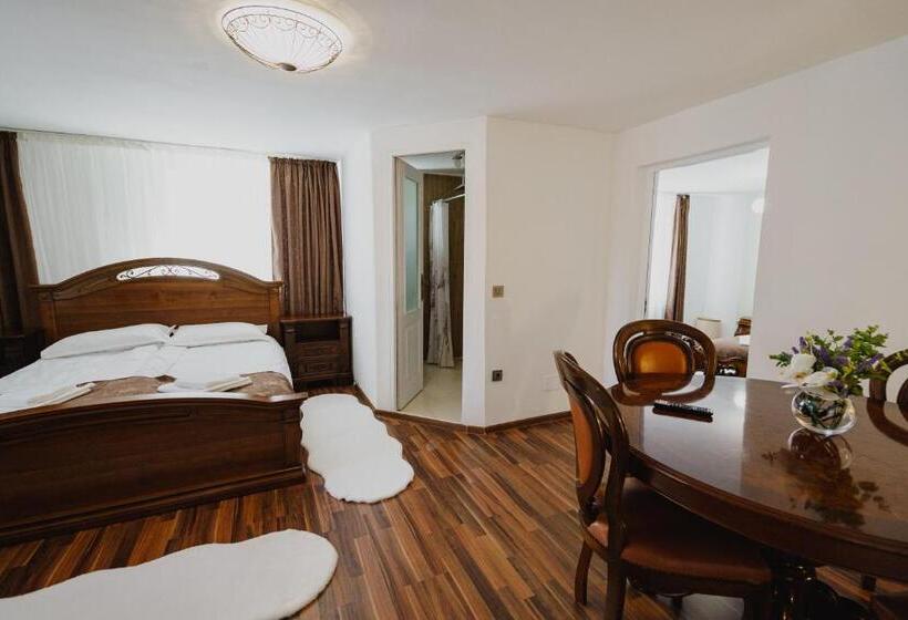 بنسيون Casa Baronului