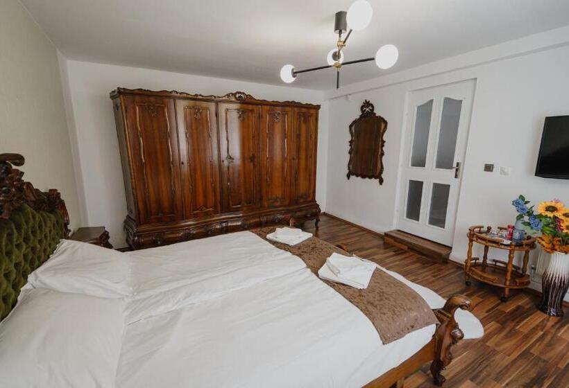 بنسيون Casa Baronului