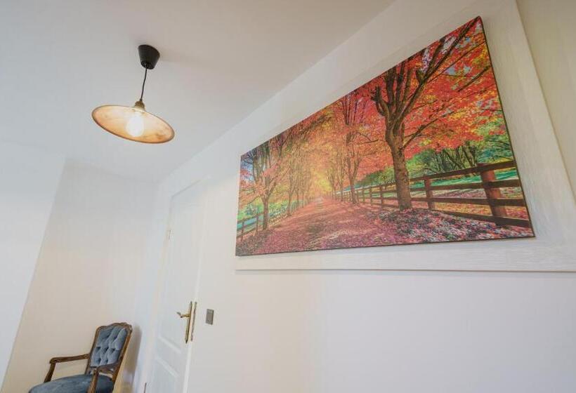 بنسيون Casa Baronului