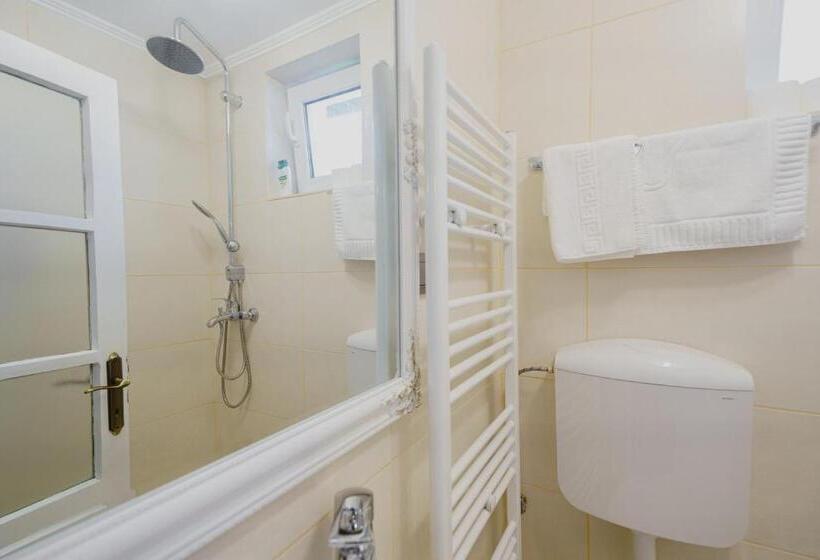 بنسيون Casa Baronului