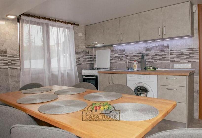 Пансион Casa Tudor