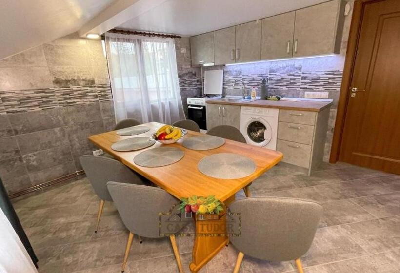 Пансион Casa Tudor