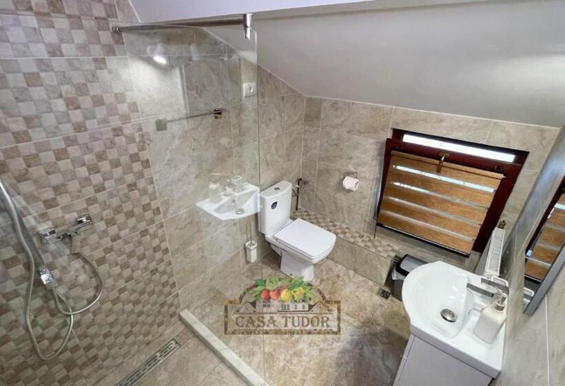 Пансион Casa Tudor