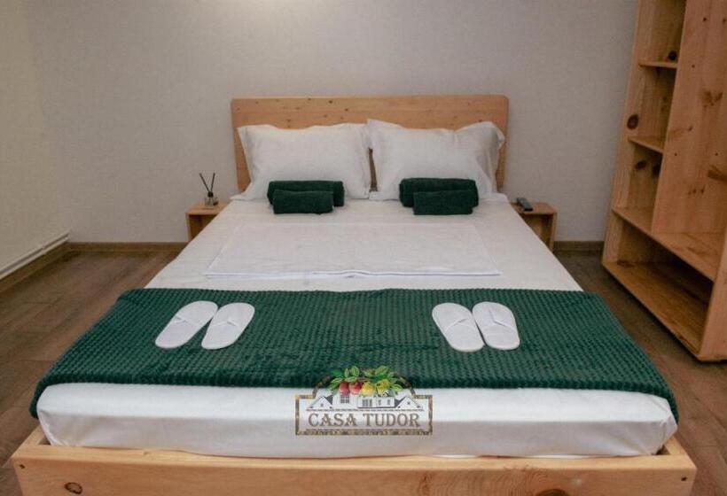 Пансион Casa Tudor