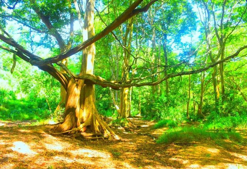 פנסיון Enjoy River Cottage