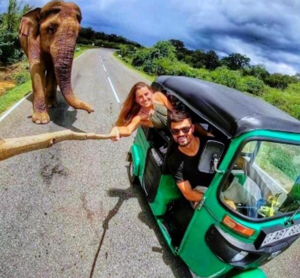 פנסיון Enjoy River Cottage