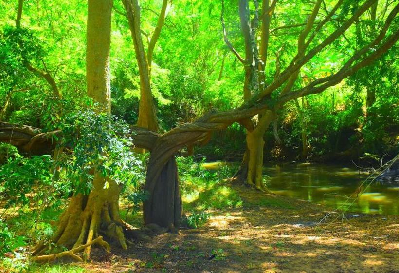 פנסיון Enjoy River Cottage