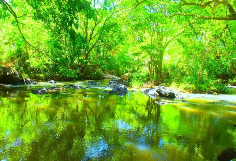 פנסיון Enjoy River Cottage