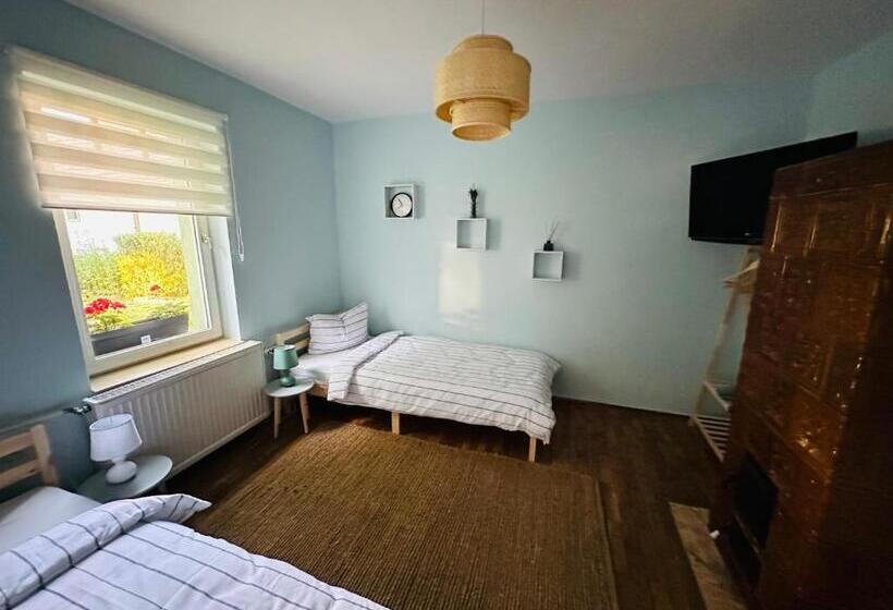 بنسيون Greenery Home