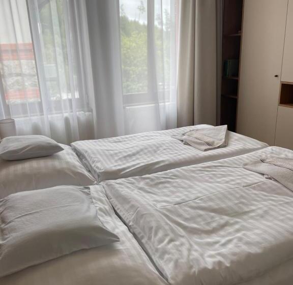 פנסיון Penzion Tatra